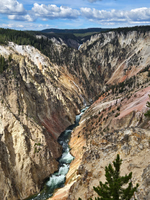 Yellowstone to Glacier National Parks Tour - PRIVATE