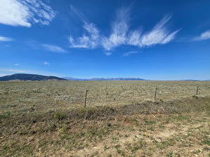 Yellowstone to Glacier National Parks Tour - PRIVATE