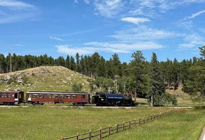 Mickelson Trail & Black Hills Ramble