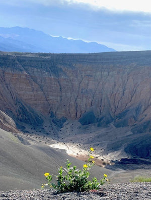 Death Valley Tour