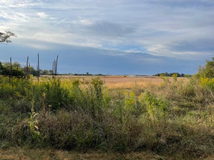 Ohio to Erie Trails (OTET)