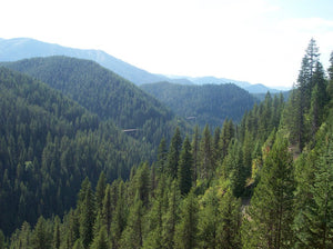 Washington, Idaho, Montana Trails Tour
