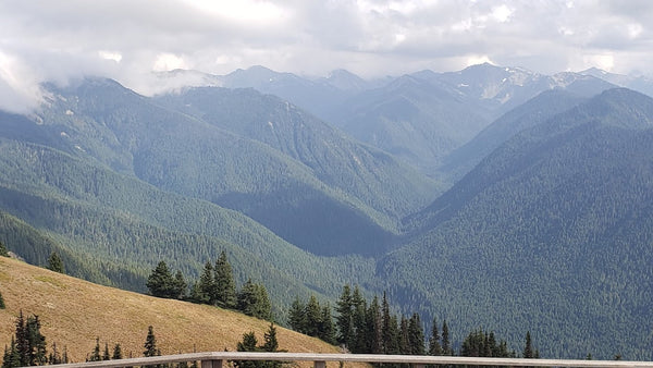Washington Olympic Discovery Trail Tour